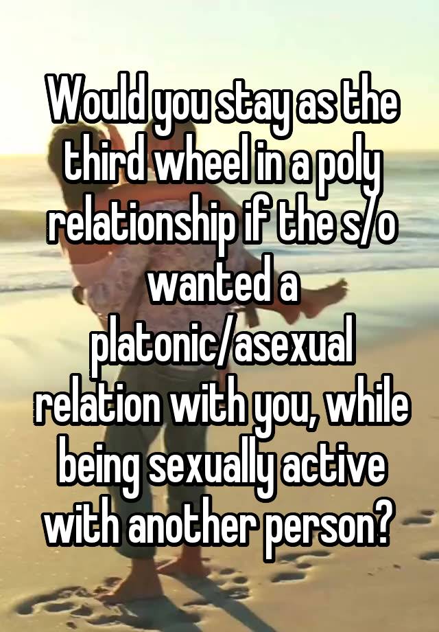 Would you stay as the third wheel in a poly relationship if the s/o wanted a platonic/asexual relation with you, while being sexually active with another person? 