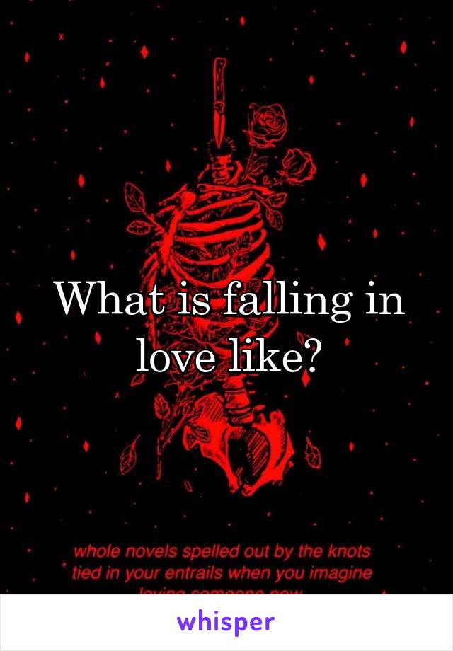 What is falling in love like?