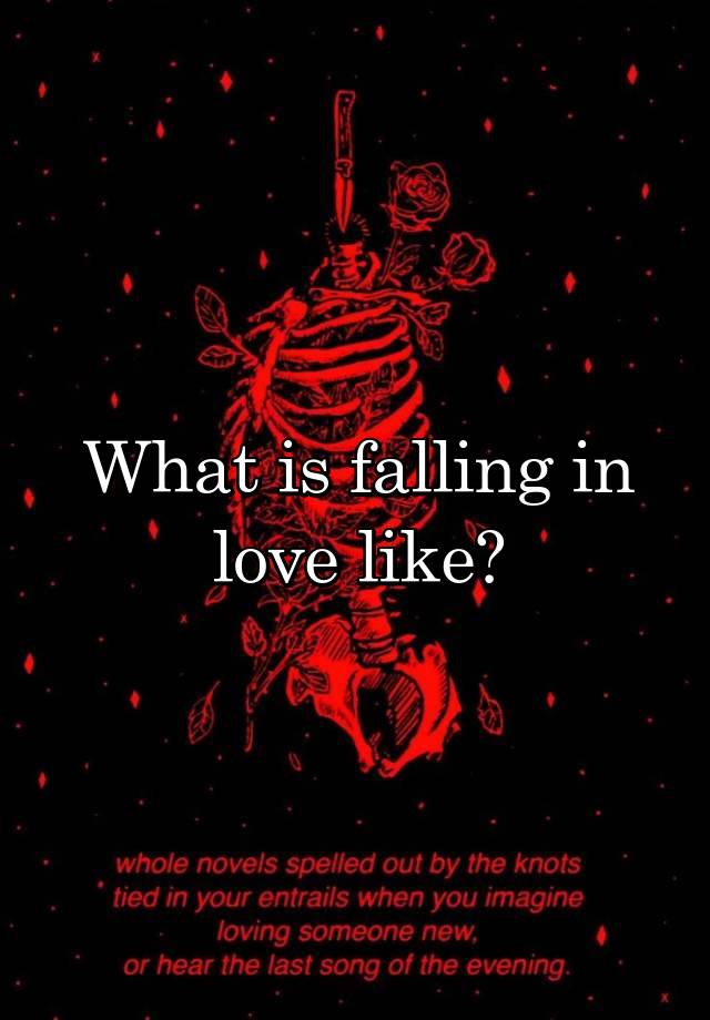 What is falling in love like?