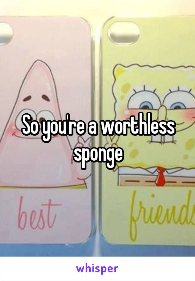 So you're a worthless sponge