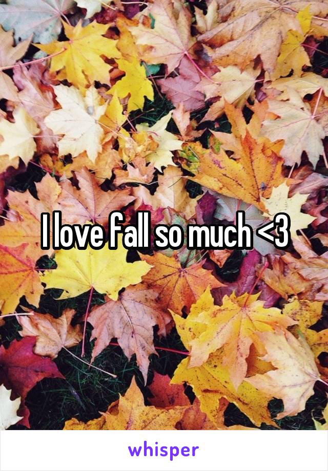 I love fall so much <3