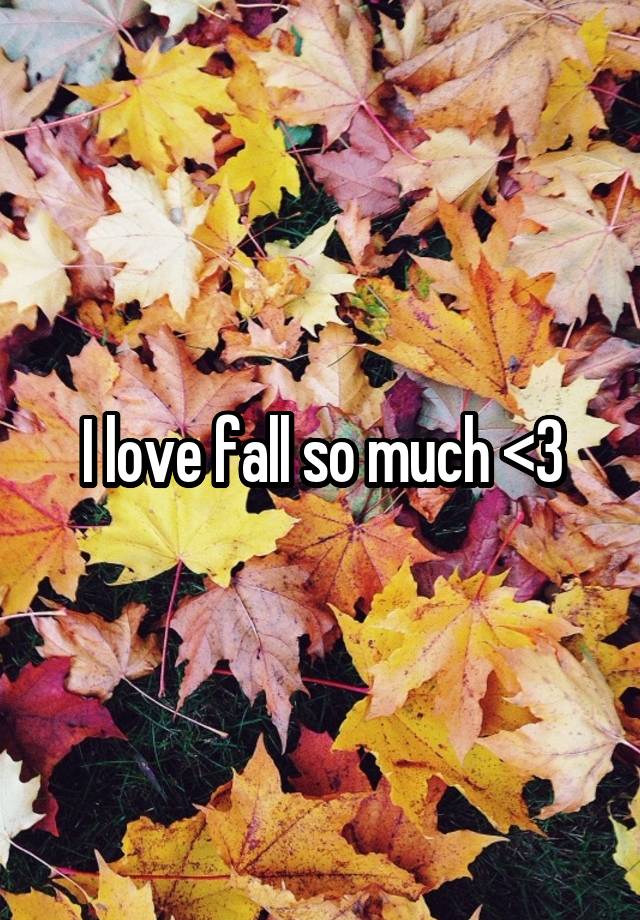 I love fall so much <3