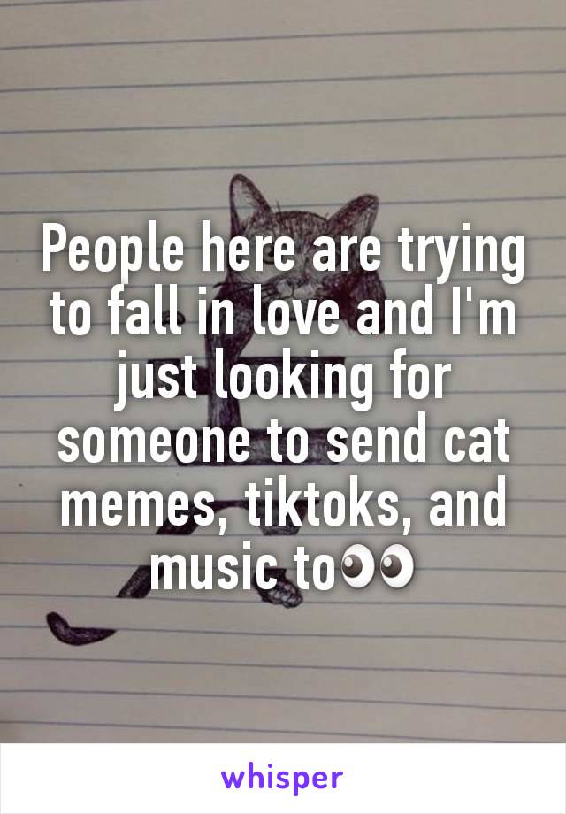 People here are trying to fall in love and I'm just looking for someone to send cat memes, tiktoks, and music to👀