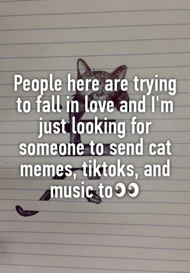 People here are trying to fall in love and I'm just looking for someone to send cat memes, tiktoks, and music to👀