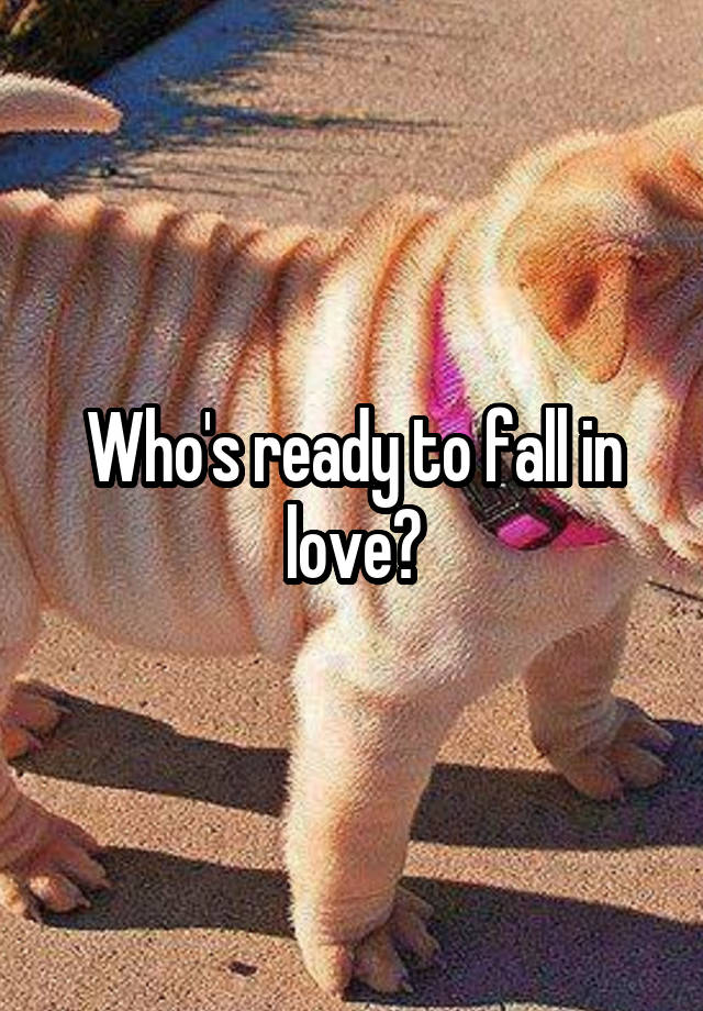 Who's ready to fall in love?