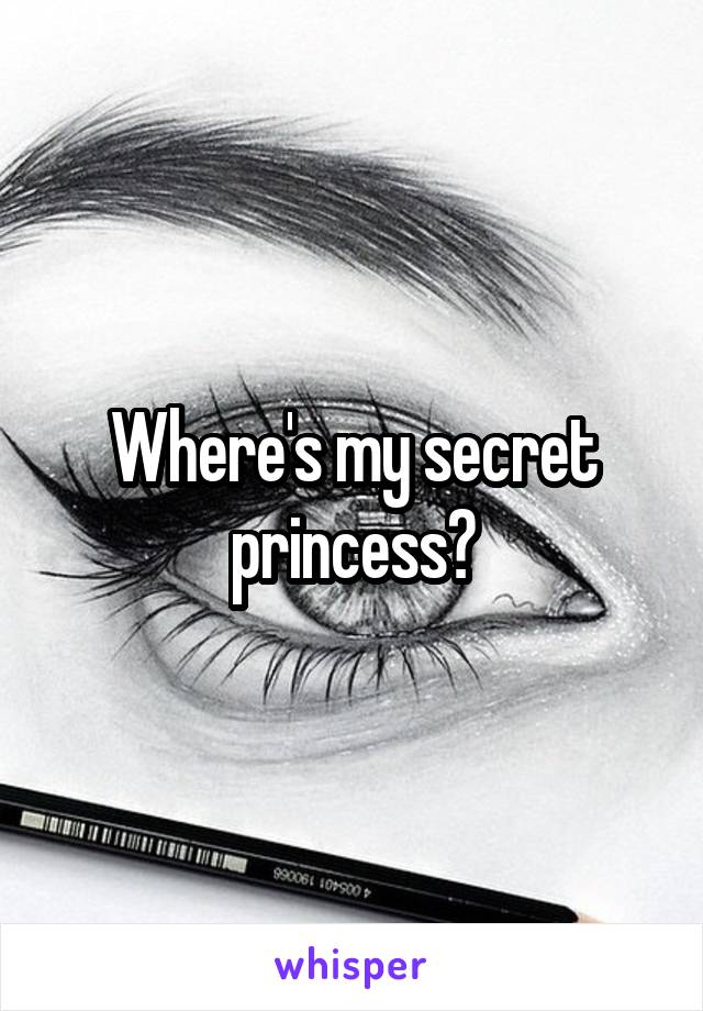 Where's my secret princess?