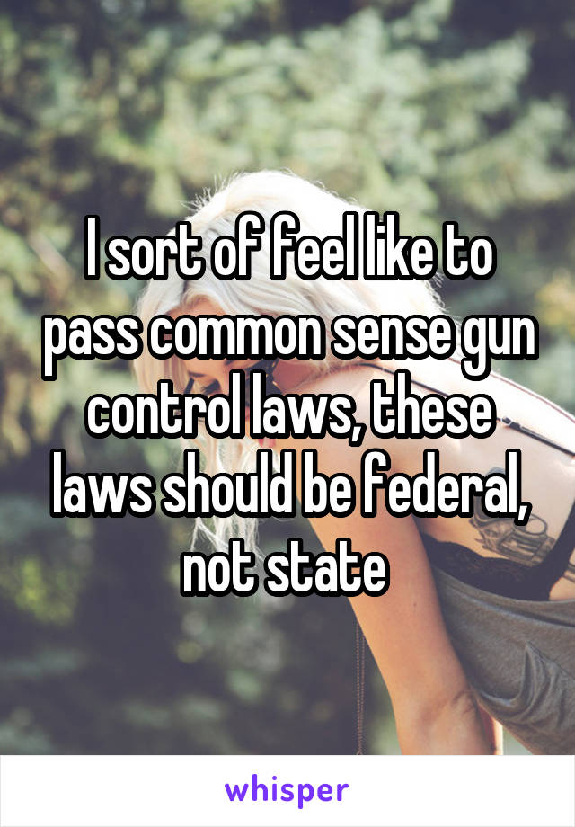 I sort of feel like to pass common sense gun control laws, these laws should be federal, not state 