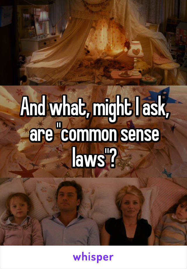 And what, might I ask, are "common sense laws"?