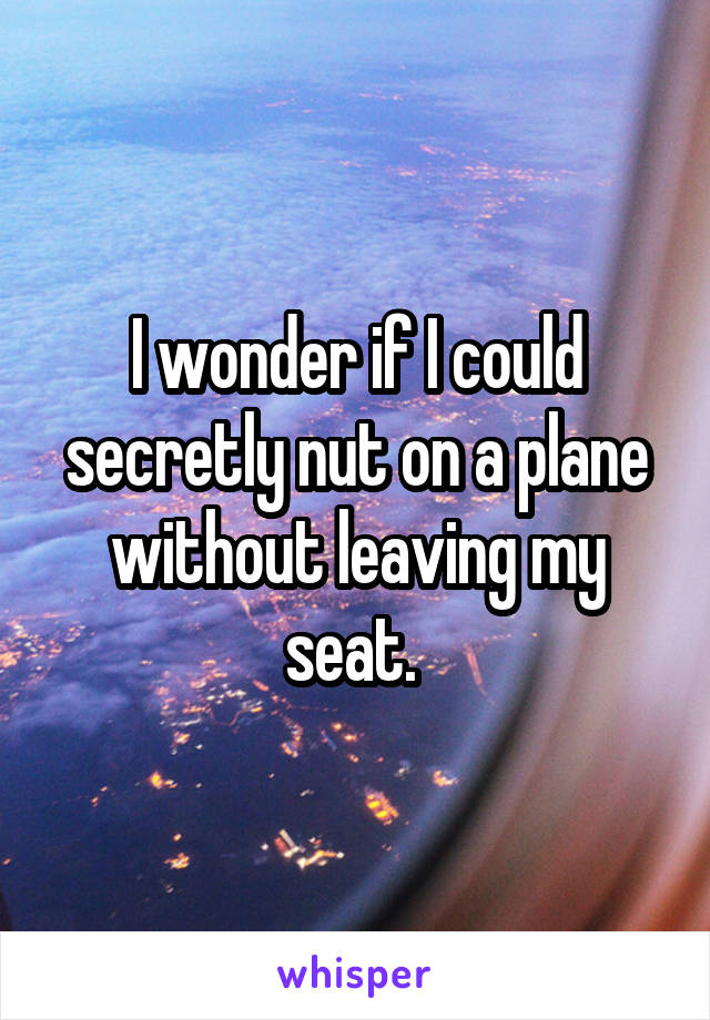 I wonder if I could secretly nut on a plane without leaving my seat. 