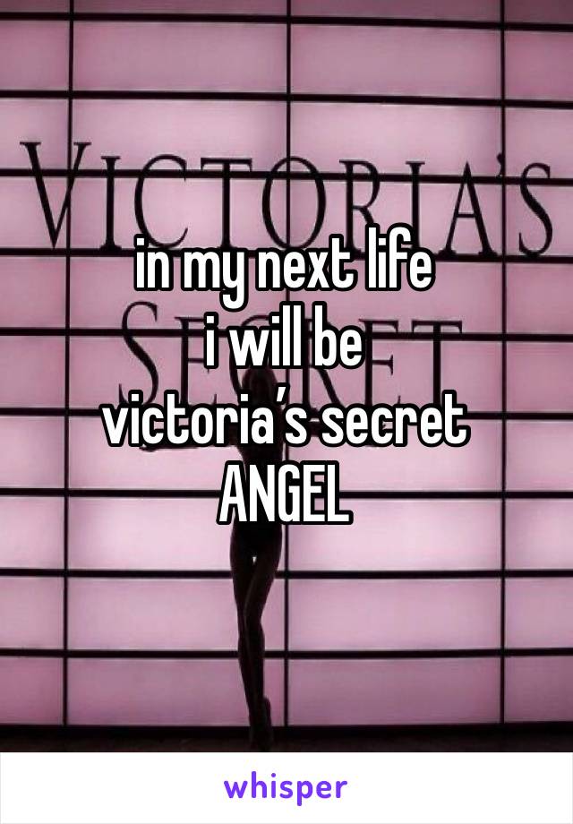 in my next life 
i will be 
victoria’s secret
ANGEL