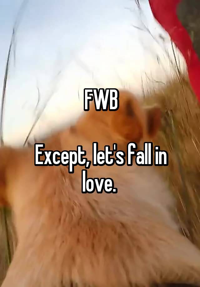 FWB

Except, let's fall in love. 