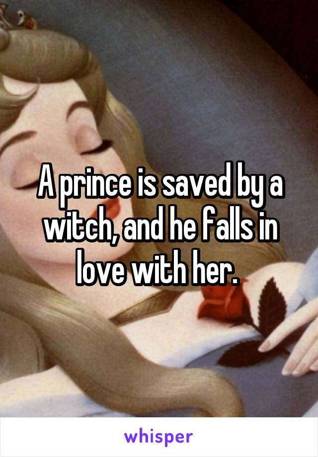 A prince is saved by a witch, and he falls in love with her. 