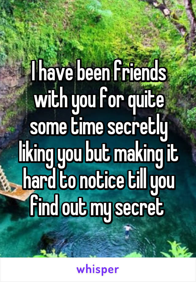 I have been friends with you for quite some time secretly liking you but making it hard to notice till you find out my secret 