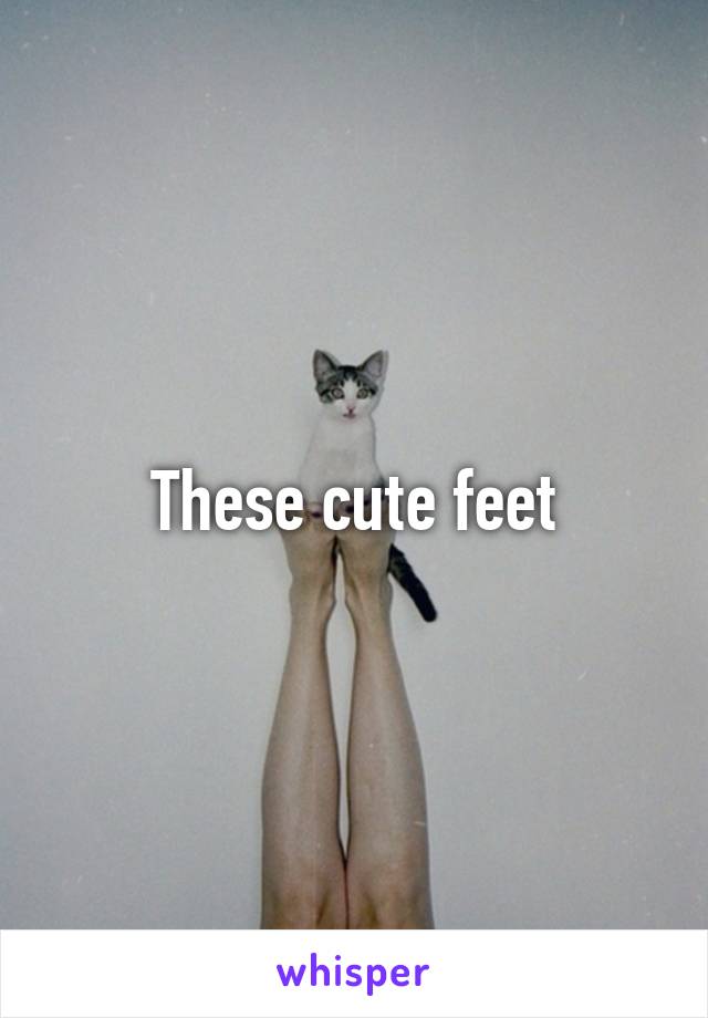 These cute feet