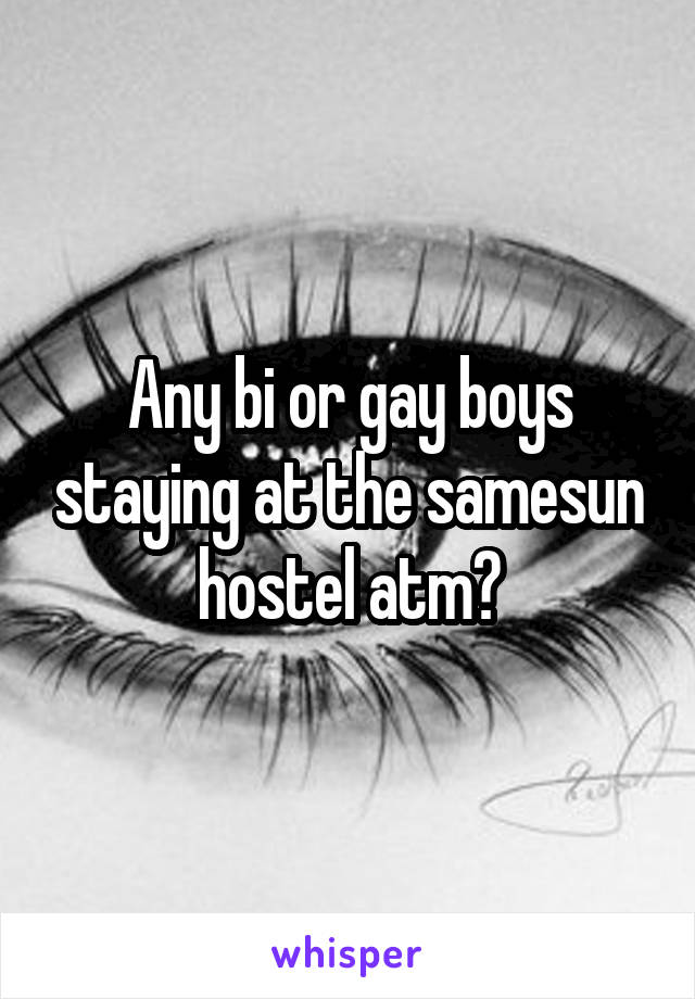 Any bi or gay boys staying at the samesun hostel atm?