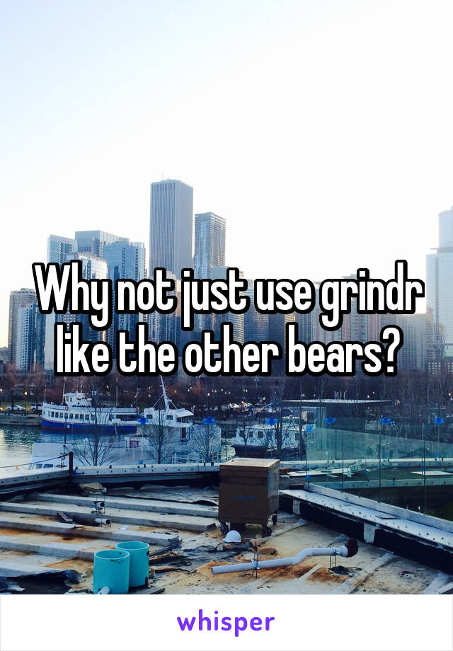 Why not just use grindr like the other bears?