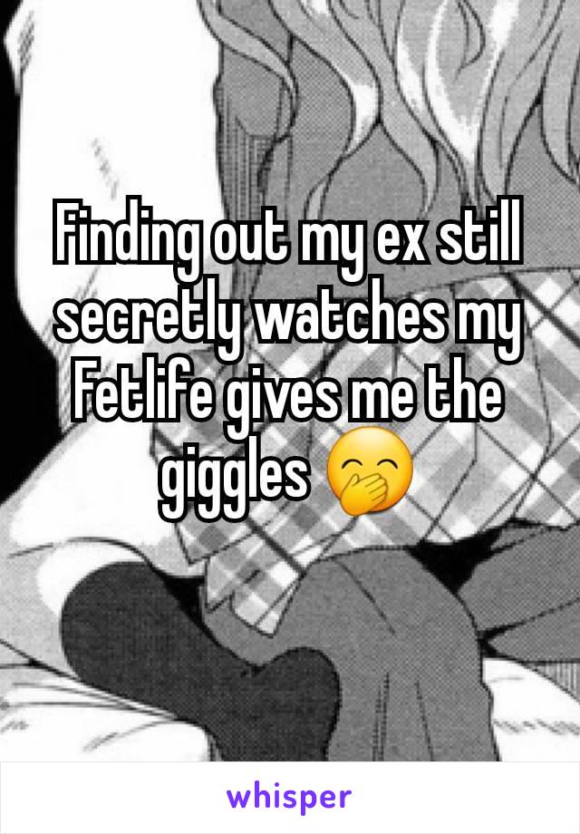 Finding out my ex still secretly watches my Fetlife gives me the giggles 🤭