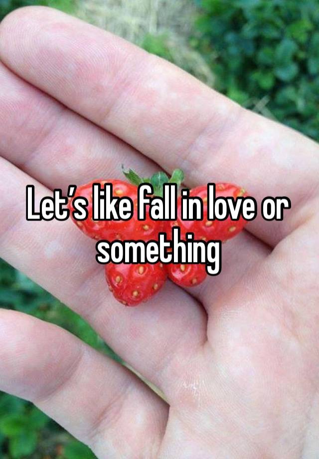 Let’s like fall in love or something 