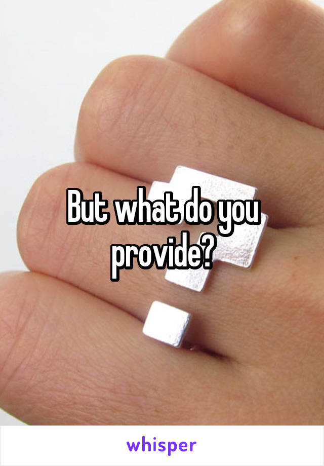 But what do you provide?