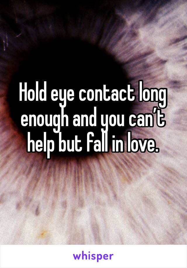 Hold eye contact long enough and you can’t help but fall in love.