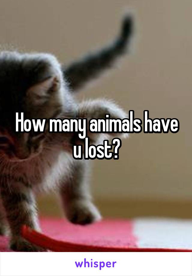 How many animals have u lost?