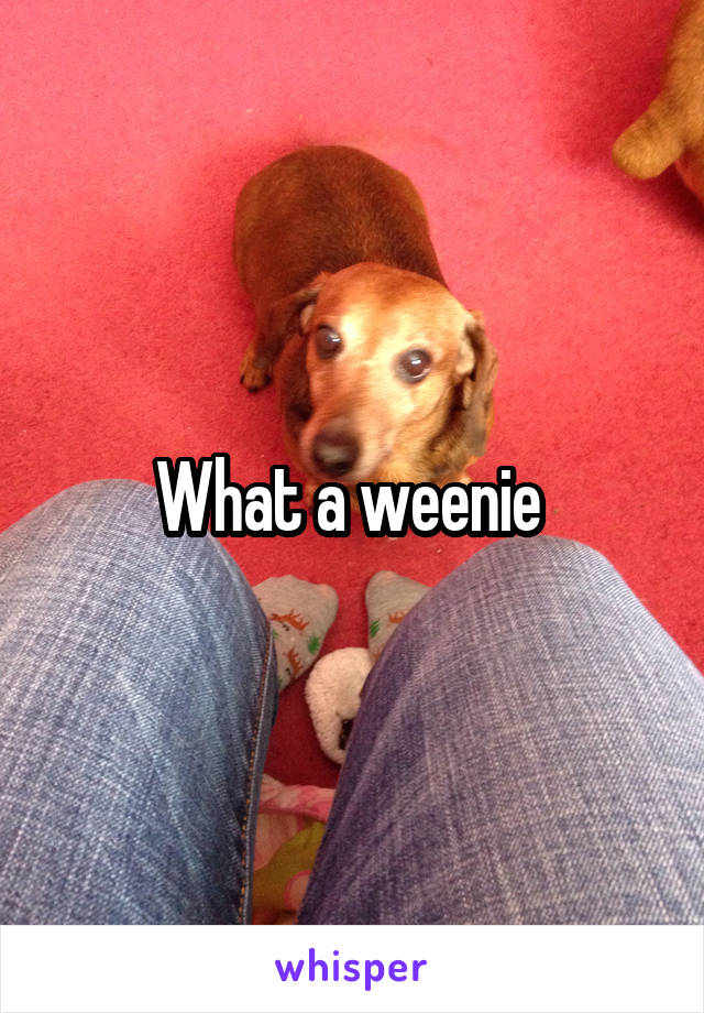 What a weenie 