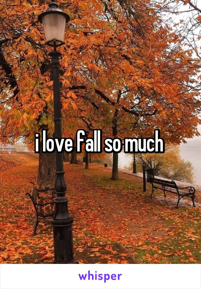 i love fall so much 