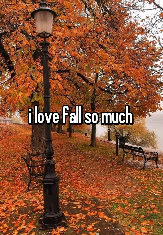 i love fall so much 