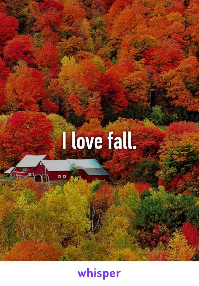 I love fall.