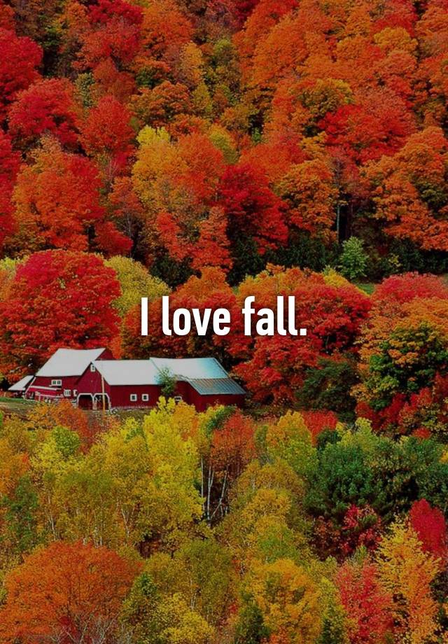 I love fall.