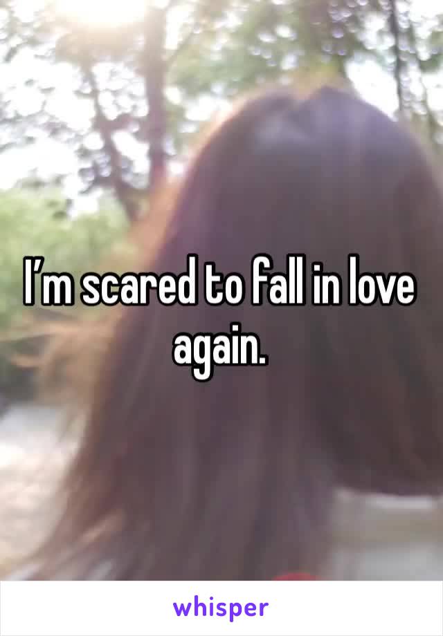 I’m scared to fall in love again.