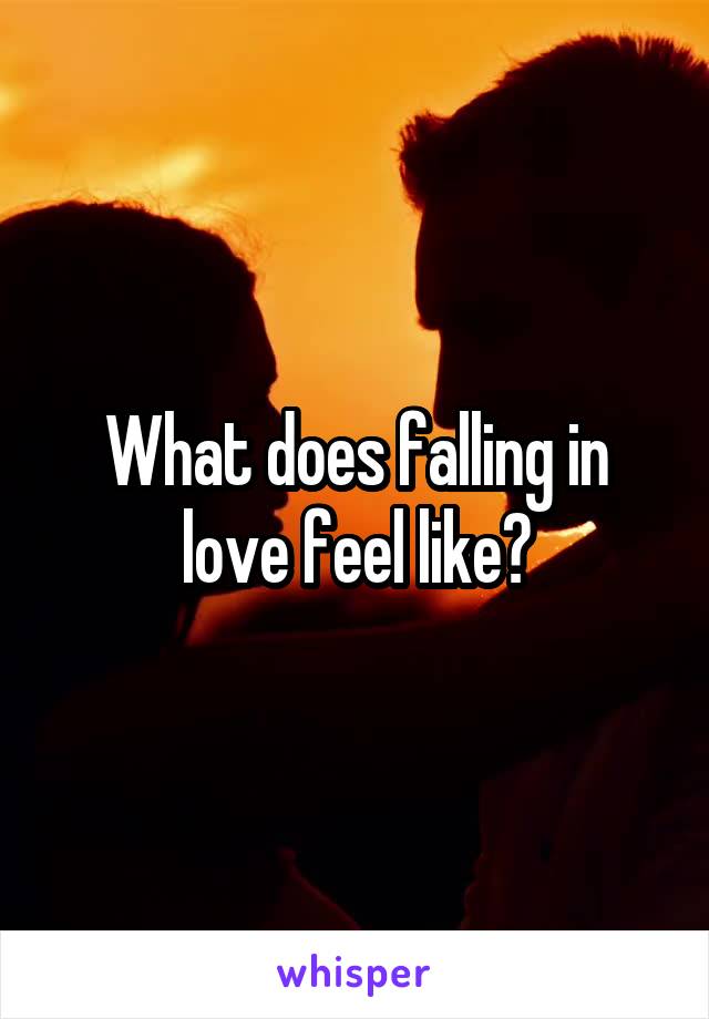 What does falling in love feel like?