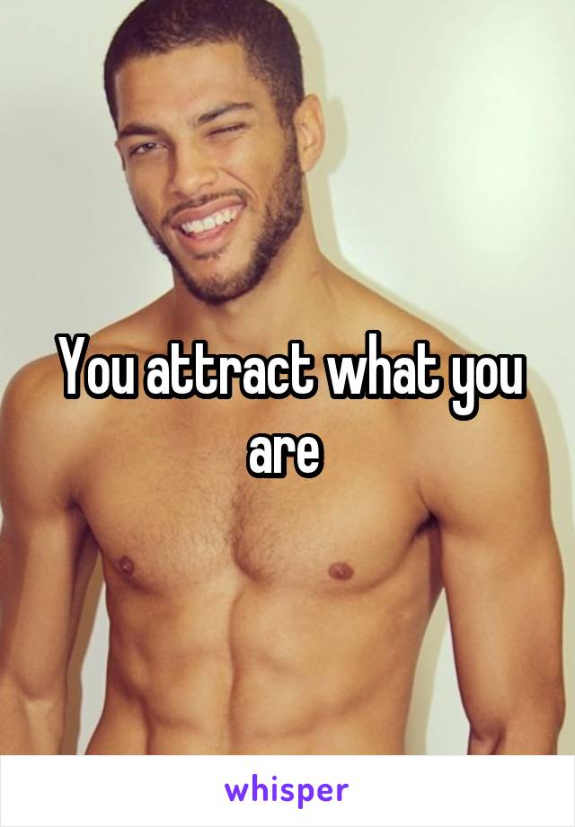 You attract what you are 