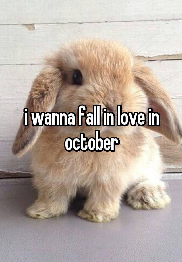 i wanna fall in love in october