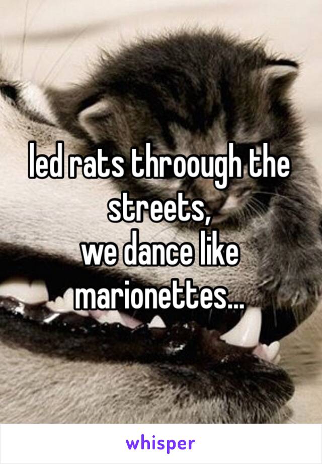 led rats throough the streets,
we dance like marionettes…