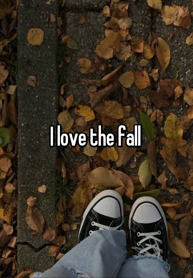 I love the fall 