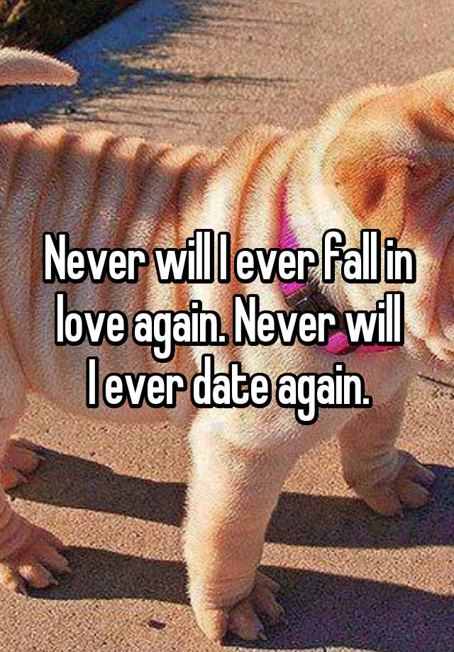 Never will I ever fall in love again. Never will
I ever date again.