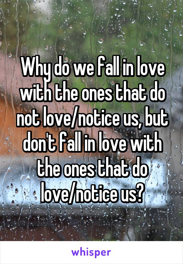 Why do we fall in love with the ones that do not love/notice us, but don't fall in love with the ones that do love/notice us?