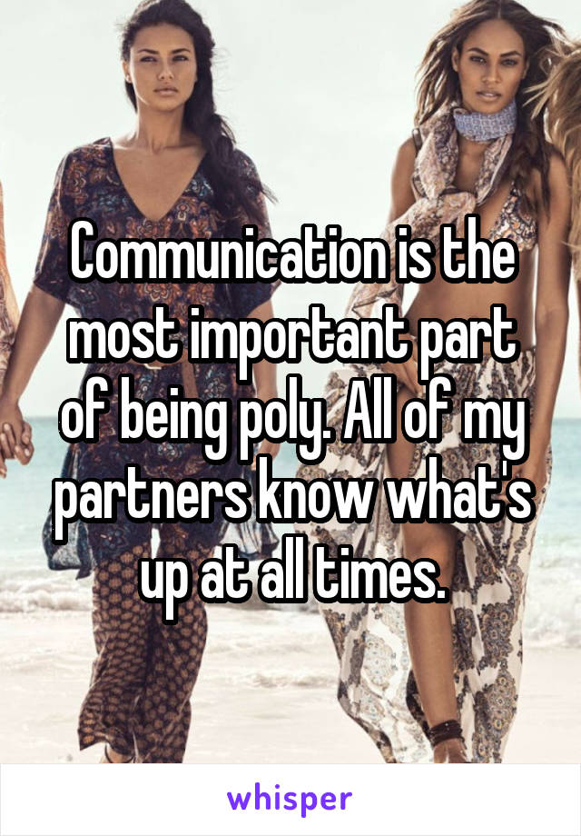 Communication is the most important part of being poly. All of my partners know what's up at all times.