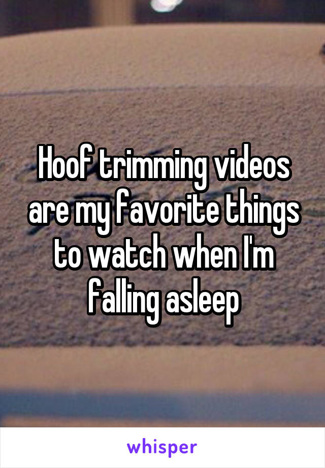 Hoof trimming videos are my favorite things to watch when I'm falling asleep