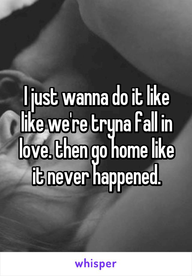 I just wanna do it like like we're tryna fall in love. then go home like it never happened.