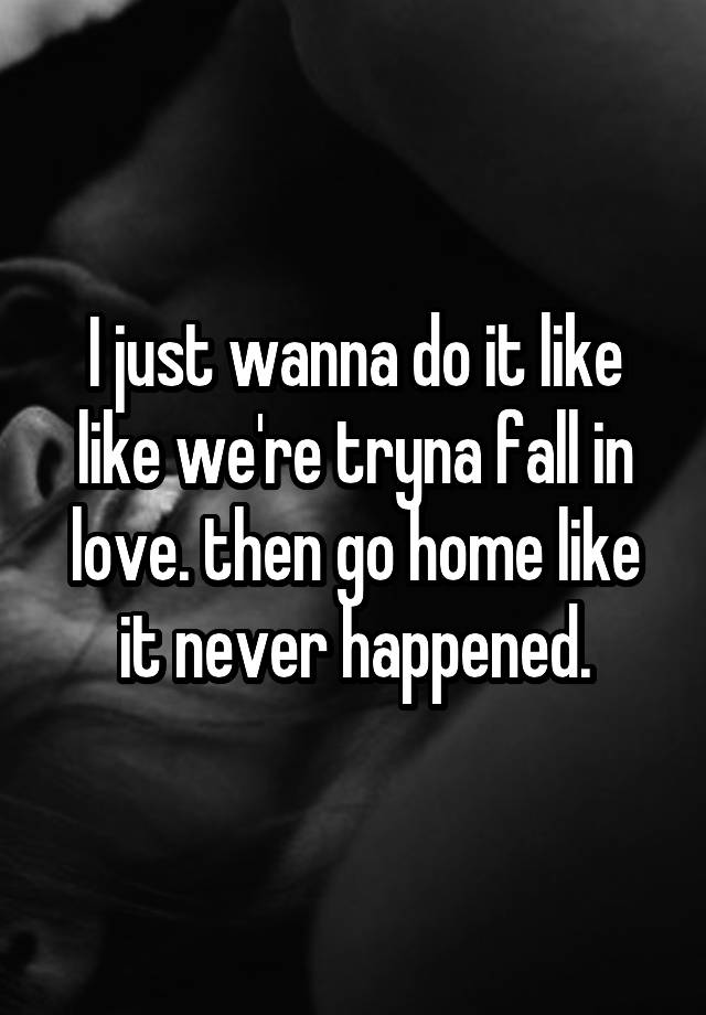 I just wanna do it like like we're tryna fall in love. then go home like it never happened.