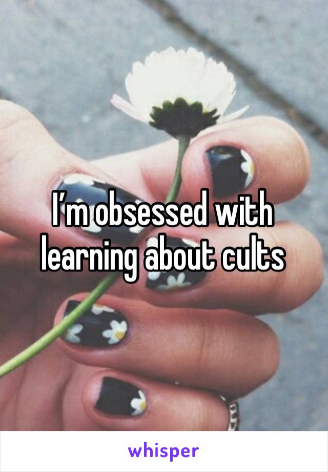 I’m obsessed with learning about cults