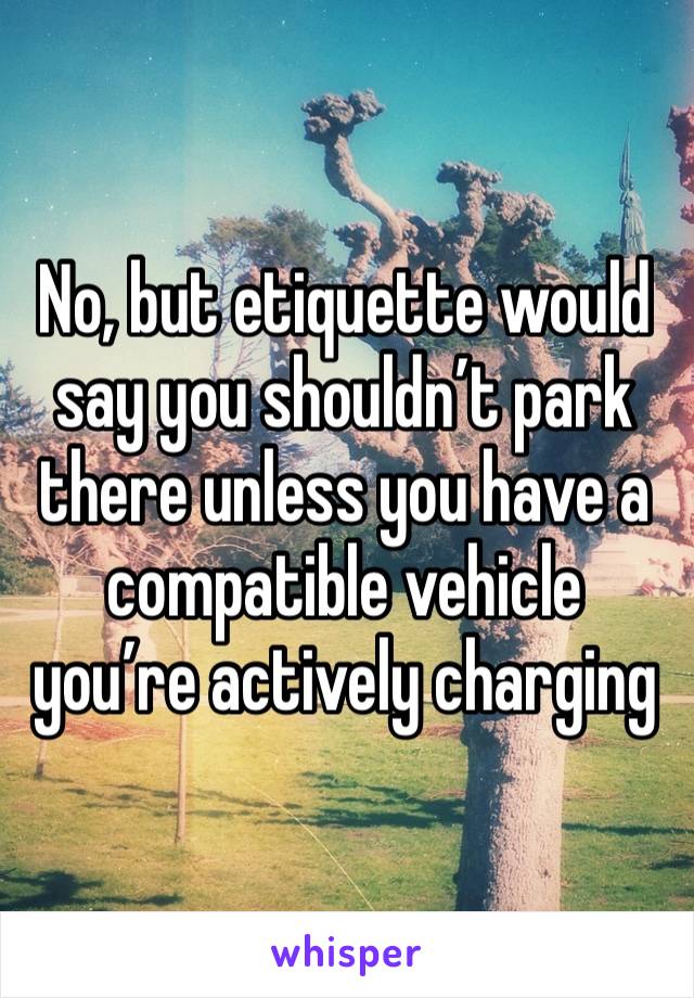 No, but etiquette would say you shouldn’t park there unless you have a compatible vehicle you’re actively charging 