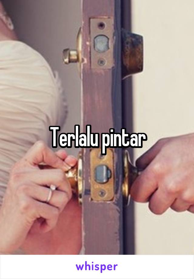 Terlalu pintar