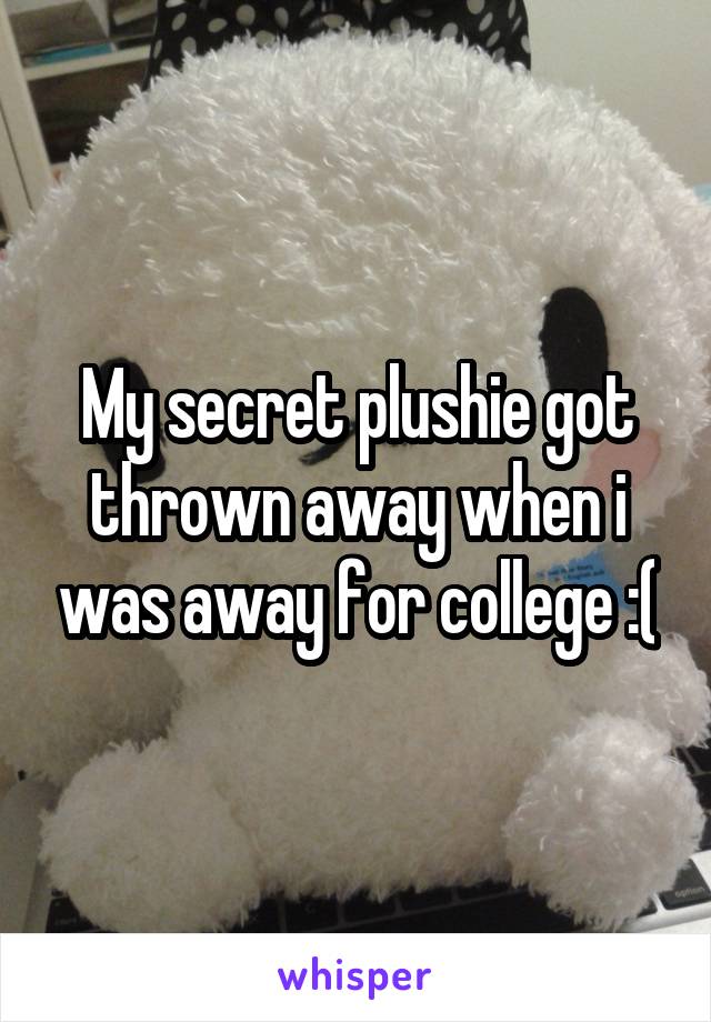 My secret plushie got thrown away when i was away for college :(