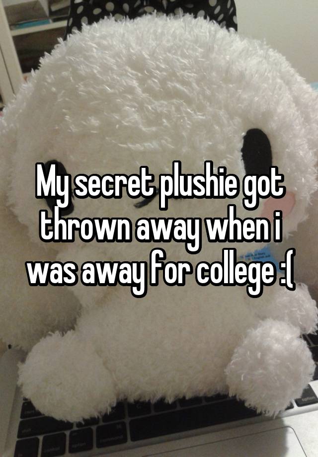 My secret plushie got thrown away when i was away for college :(