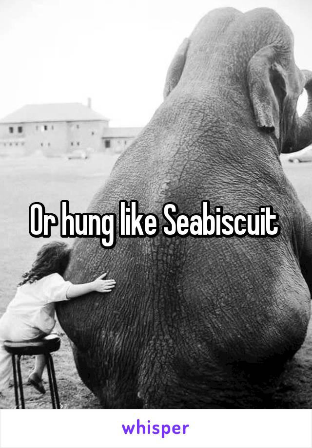 Or hung like Seabiscuit 