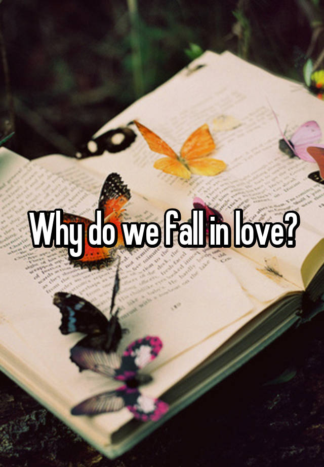 Why do we fall in love?