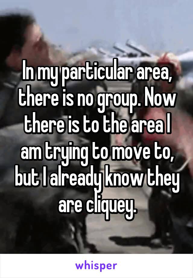 In my particular area, there is no group. Now there is to the area I am trying to move to, but I already know they are cliquey.